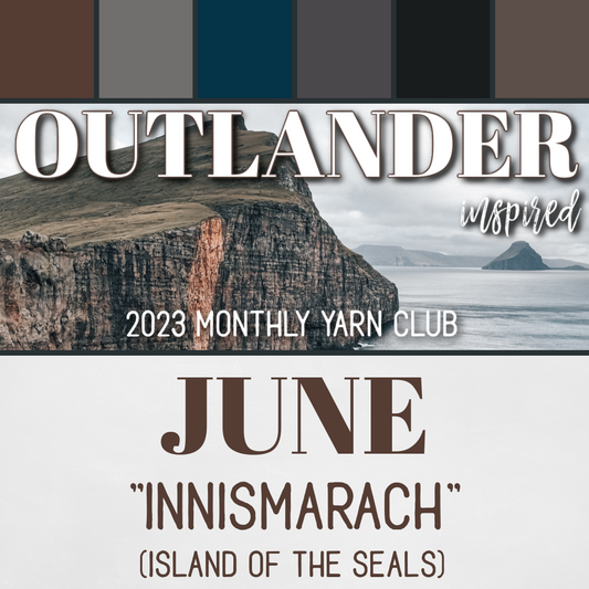 Hand Dyed Yarn Club Monthly Subscription OUTLANDER inspired Knitting Crochet Gift JUNE Mystery Skein for Crafters