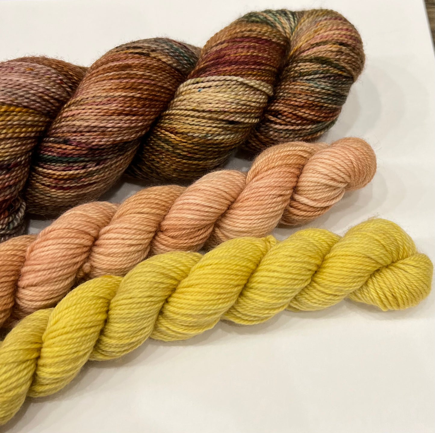 Sock Yarn Set - Retro Holiday Tones Variegated