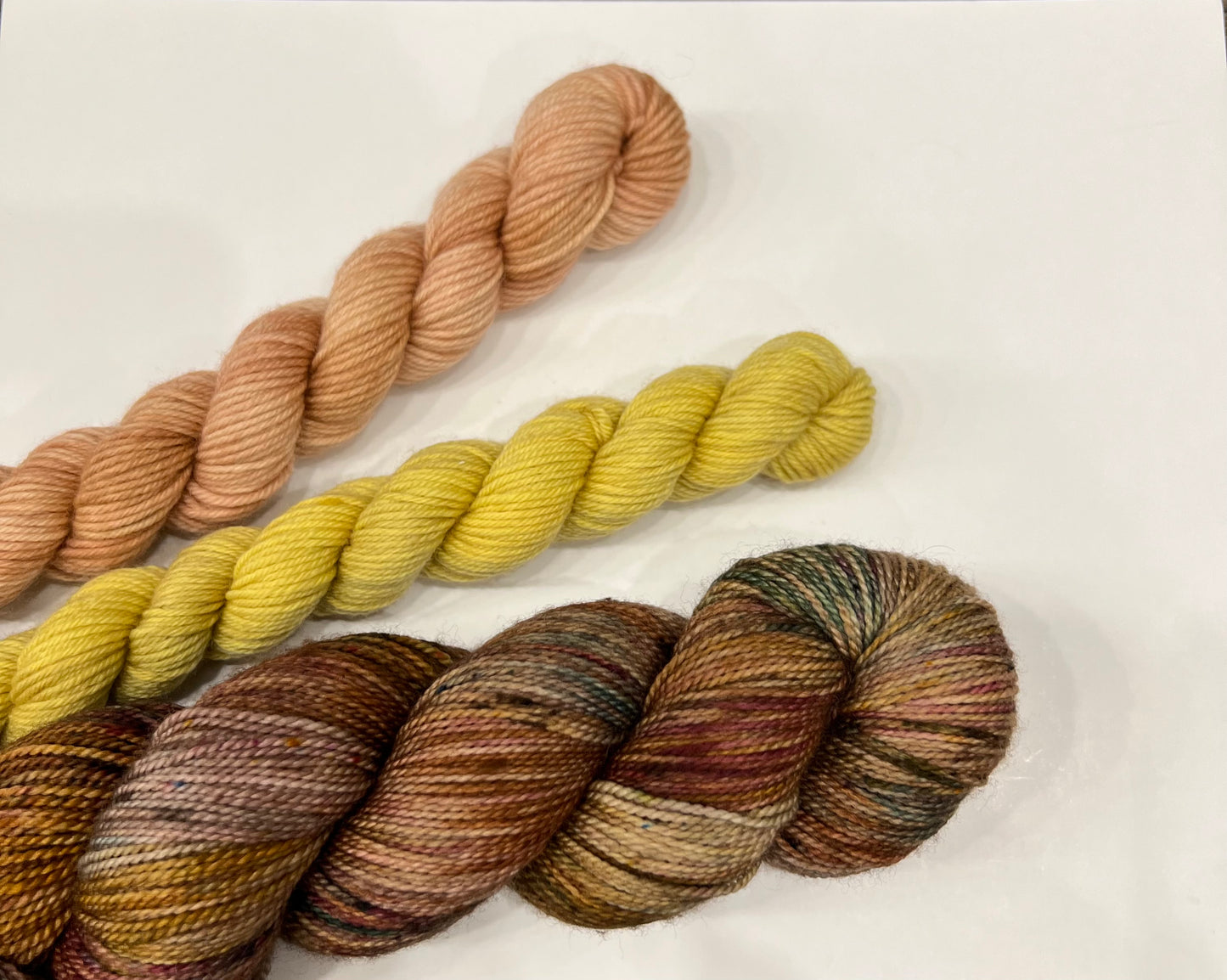 Sock Yarn Set - Retro Holiday Tones Variegated