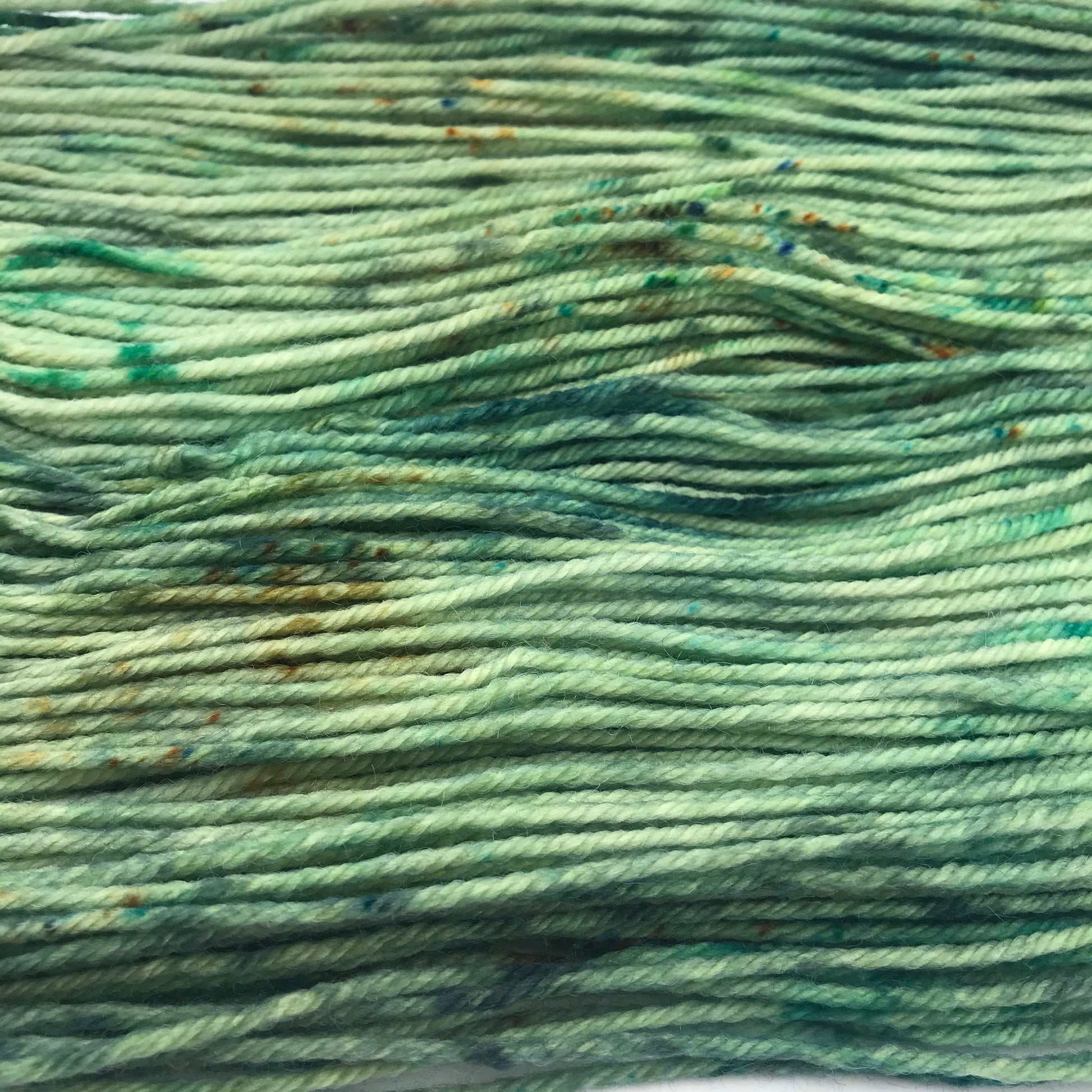 Hand-Dyed Superwash Merino DK Yarn: "WOAH, NESSIE!" Green Emerald Olive