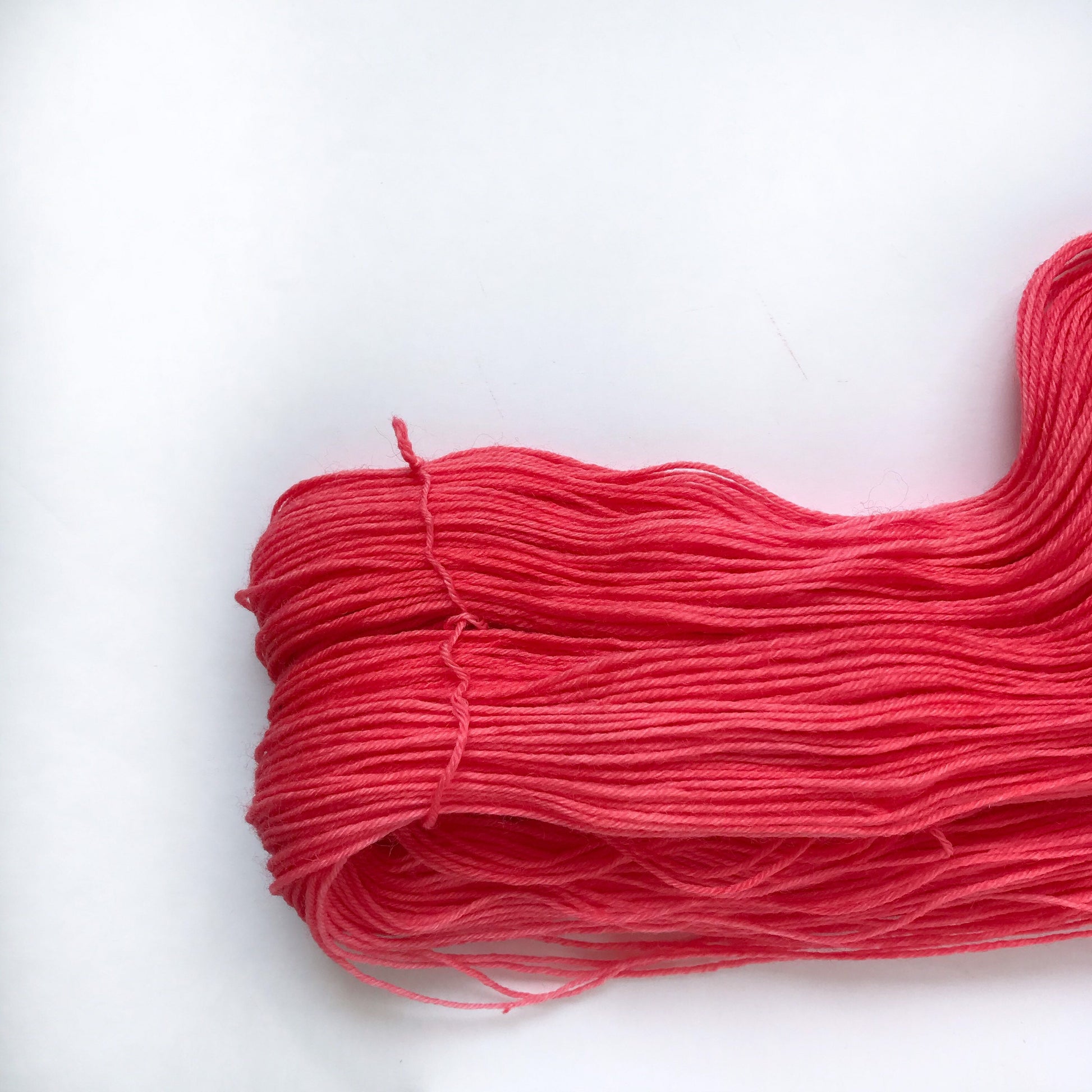 Hand Dyed Superwash Merino Sock Yarn: "ROE" Orange Red Pink Tonal, 437 yds