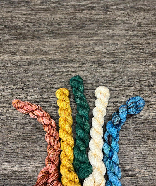 Assorted Colours Mini Skein Set