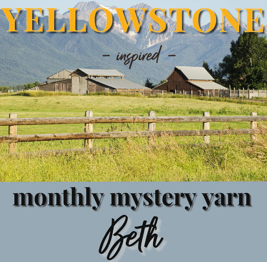 Yarn Club FEBRUARY Mystery Skein, Yellowstone Inspired