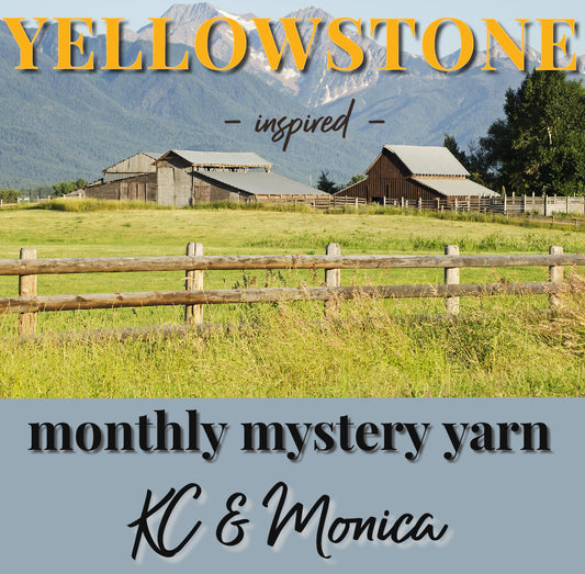 2022 Yarn Club MAY Mystery Skein, Yellowstone Inspired