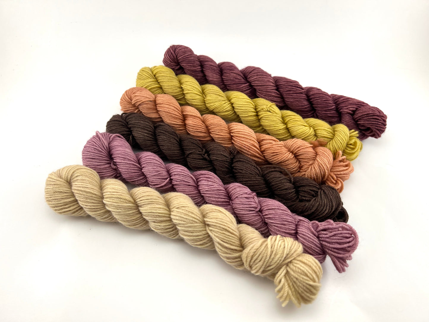 Mini Skein Yarn Set - Prairie Bouquet