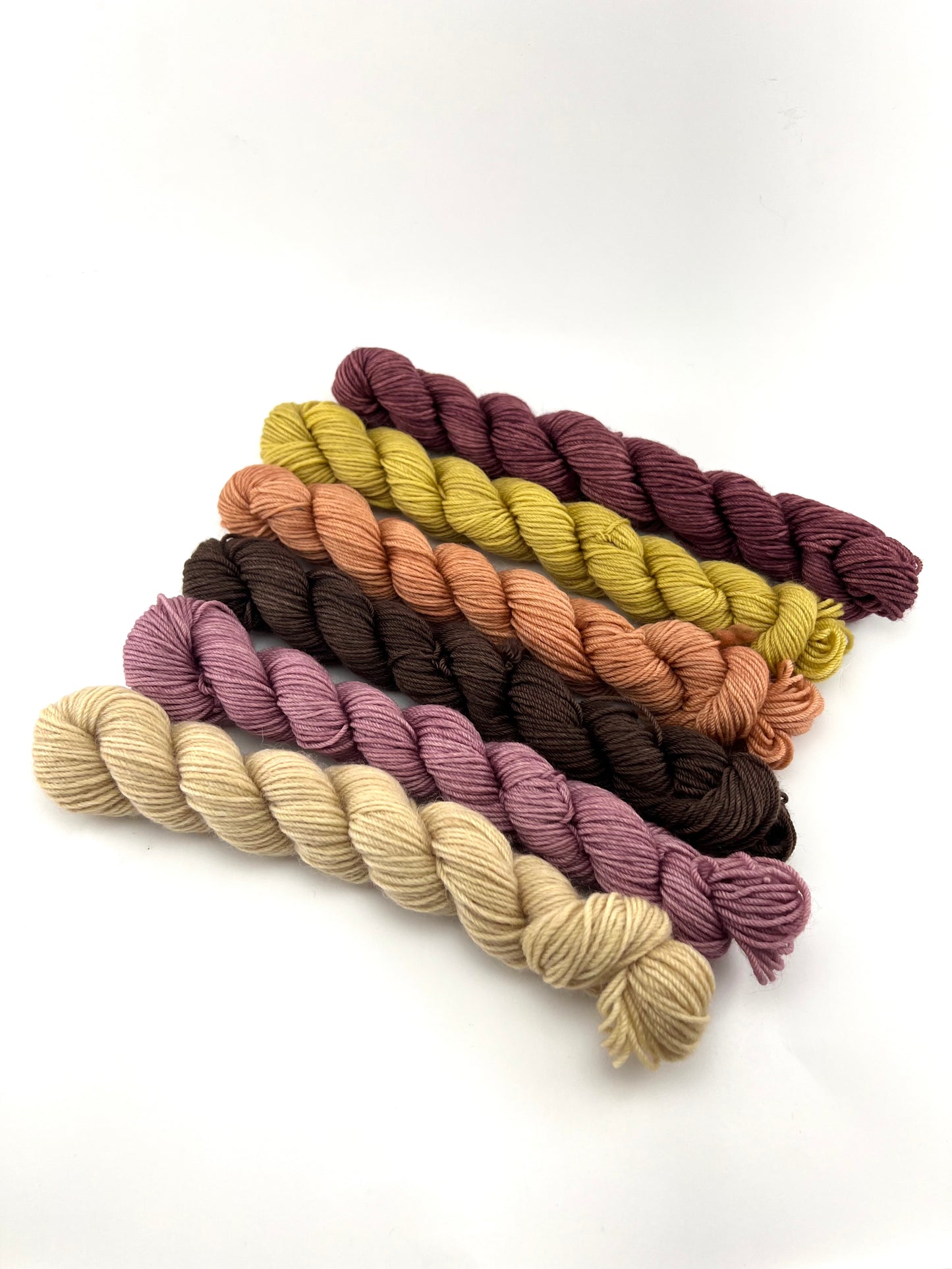 Mini Skein Yarn Set - Prairie Bouquet