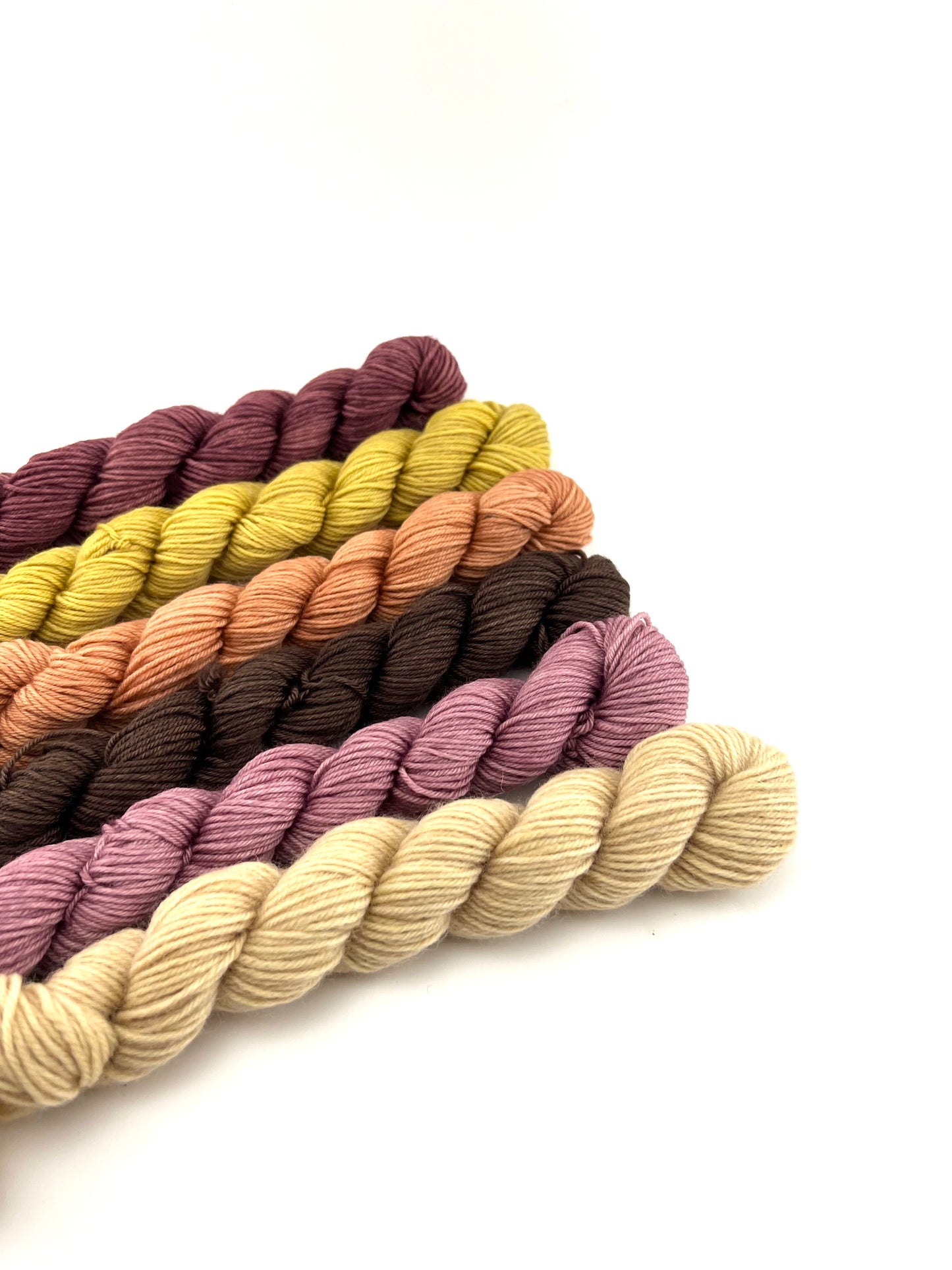 Mini Skein Yarn Set - Prairie Bouquet